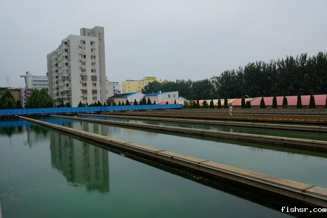 城市污水处理的问题及解决方法