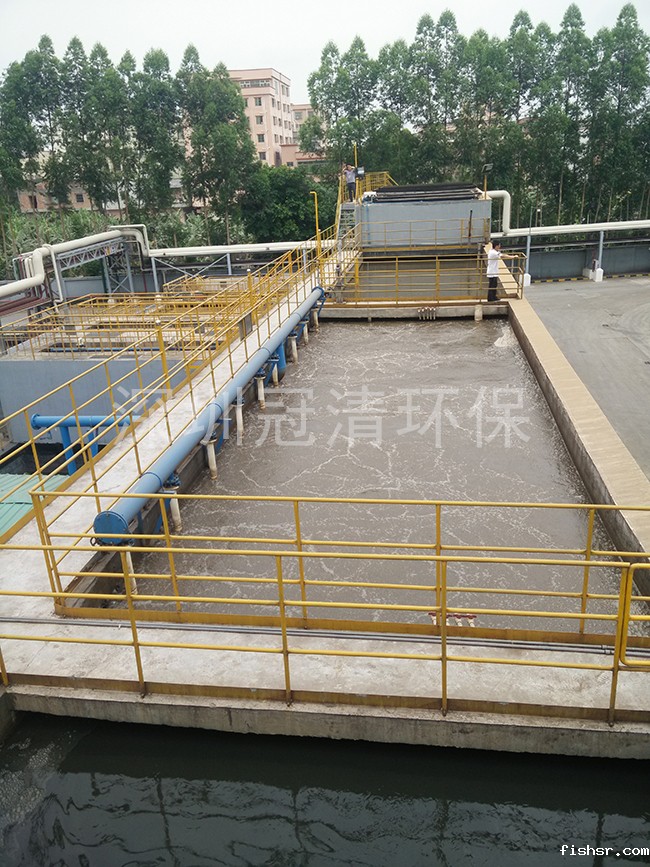 2019121116452846308.jpg