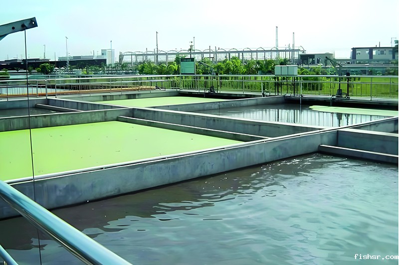 1752127826202358.jpg 8c11cc32-d2d8-4e07-99fc-1706e0197d0c(1).jpg